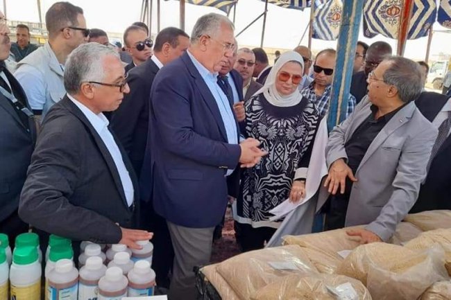 الزراعة: بحوث الصحراء يدعم مجانا المناطق الحدودية والمناطق الأكثر احتياجا والمرأة المعيلة بمشروعات إنتاجية 