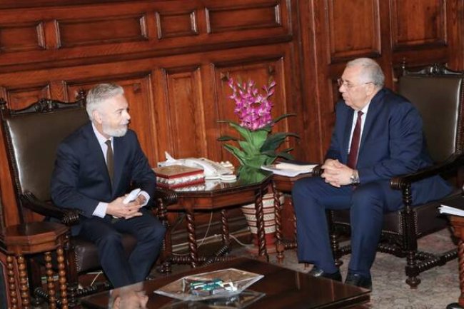 مصر والبرازيل تبحثان تعزيز التعاون في المجال الزراعي