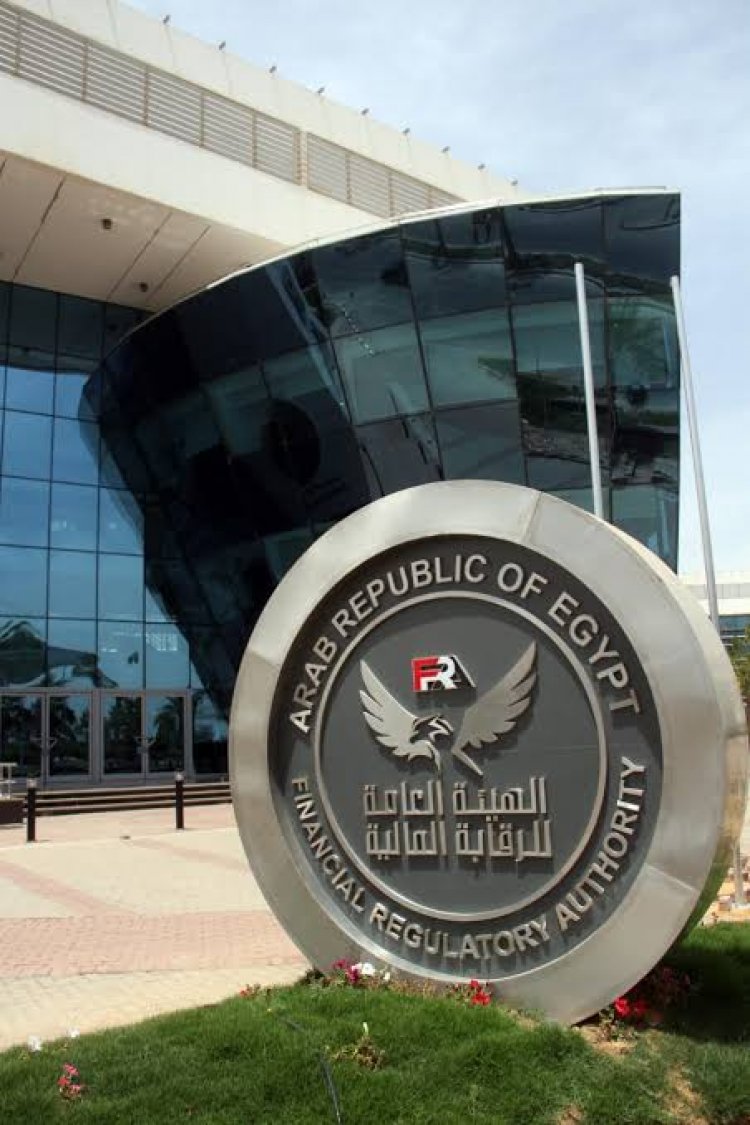 73.4 مليار جنيه إجمالى التمويل الممنوح من الأنشطة غير المصرفية خلال سبتمبر