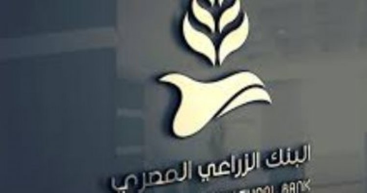غدًا .. البنك الزراعي يبيع 20 ألف متر مربع من أصوله بالإسكندرية