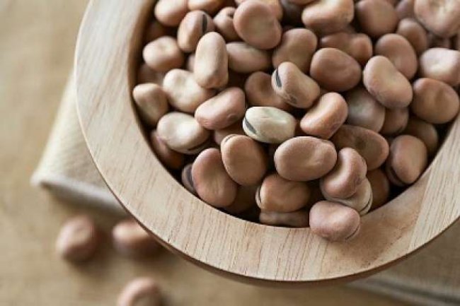 36 جنيهًا للفول.. أسعار السلع الأساسية اليوم الأربعاء