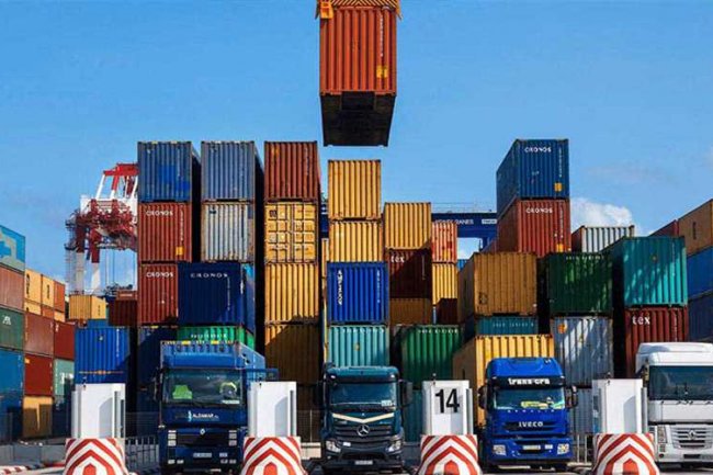 الزراعة: افتتاح 83 سوقا تصديريا جديدا في آخر أربع سنوات