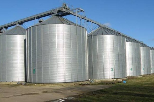 «صناعة الحبوب»: المشروع القومي للصوامع يعزز المخزون الاستراتيجي للقمح