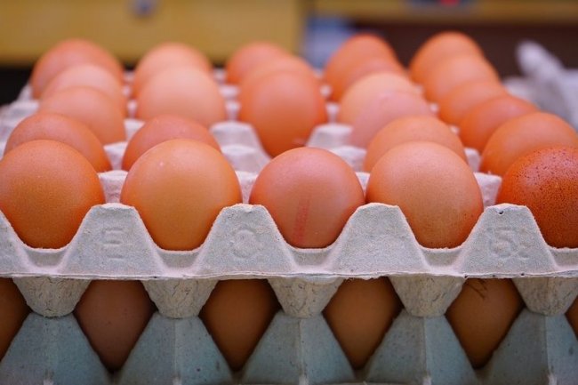 كرتونة البيض تقفز لـ 126 جنيهًا