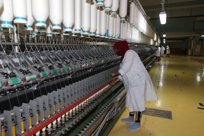 رئيس سلامه الغذاء : ترشيح 30 مصنعًا لاستقبال وفد «هيئة الغذاء و الدواء السعودية»   