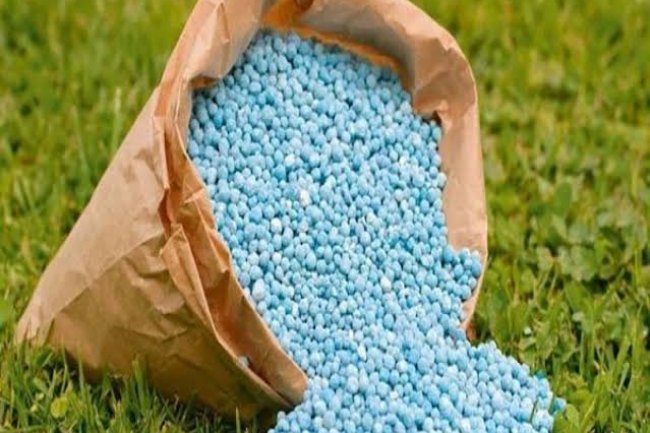 القصير: الحكومة دعمت أسمدة المزارعين بـ 75 مليار جنيه خلال 3 سنوات