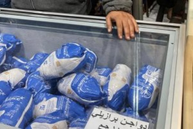 تصل 23 مارس .. الحكومة تسورد 25 ألف طن دواجن مجمدة من البرازيل