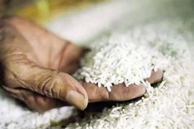 ارتفاع تاريخي في أسعار الارز الشعير والطن يسجل 13 الف جنيه