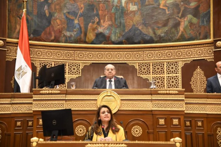 بعد دعوات الحصول علي جزء من مرتباتهم.. وزيرة العاملين بالخارج :إسهاماتهم في الاقتصاد المصري لها أهمية كبيرة 