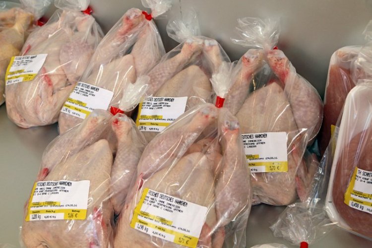 غزو الدواجن البرازيلية تجبر التجار علي خفض أسعار المحلية 