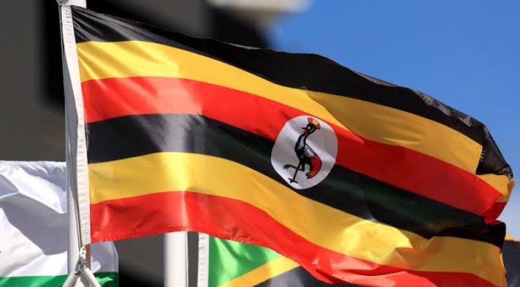 مى خيرى : أوغندا دولة هامة لمصر سياسيا واقتصاديا 