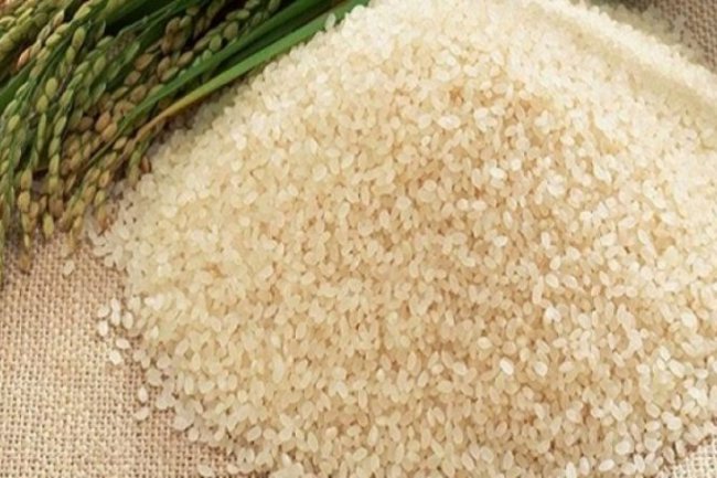 أسعار الأرز .. الشعير 19.200 جنيه للطن والأبيض يستقر عند 28.100 جنيه  