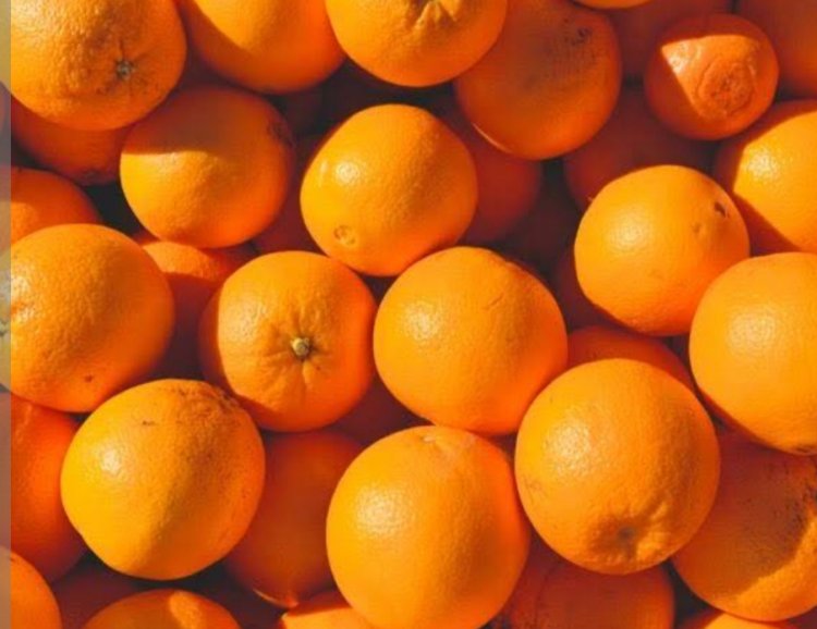 مصر تصدر حاصلات زراعية بقيمة 3.3 مليار دولار خلال 2022