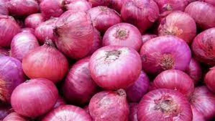 البصل أغلى من الفرولة .. أسعار الخضروات اليوم بالأسواق