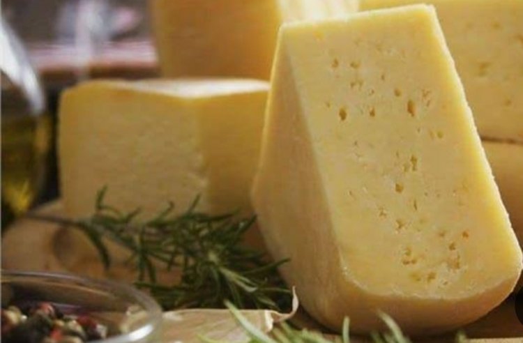 افتتاح أول برنامج تدريبى متخصص فى أسس تصنيع وإنتاج الجبن الرومى بجامعة الإسكندرية