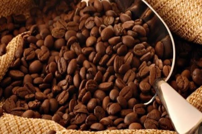 شعبة المواد الغذائية تفتح النار علي منتجي البن.... أعرف التفاصيل 
