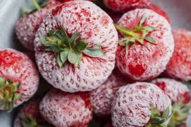 وفقاً لبيانات الأمم المتحدة .. مصر من أكبر 9 دول حول العالم فى تصدير 13 سلعة غذائية خلال 2022