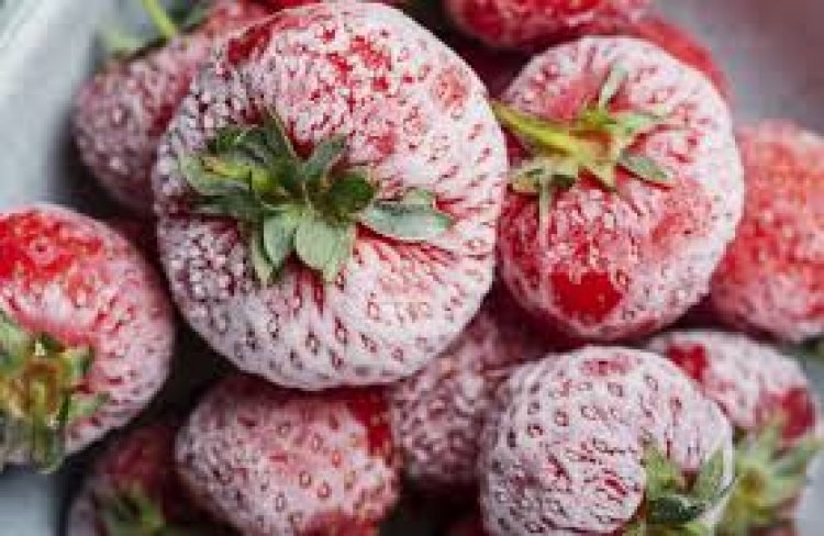 وفقاً لبيانات الأمم المتحدة .. مصر من أكبر 9 دول حول العالم فى تصدير 13 سلعة غذائية خلال 2022