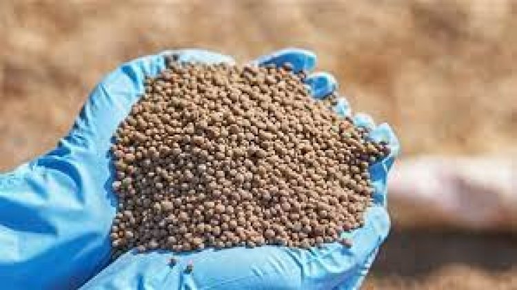 19700 جنيه للبياض .. تفاوت أسعار الأعلاف اليوم بسوق الجملة