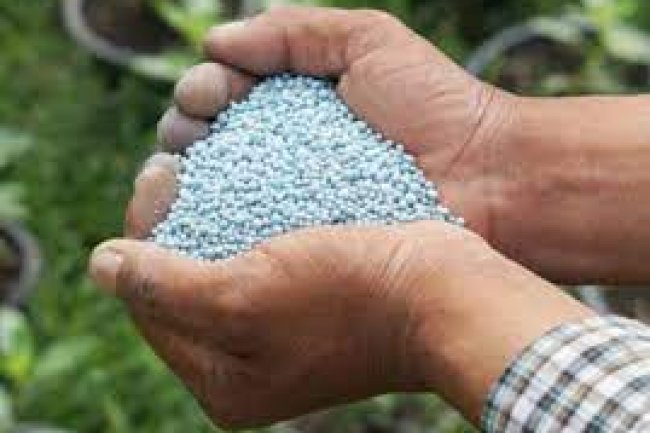 أسعار الأسمدة..  9,000 جنيه لطن النترات و3500 جنيه لطن الفوسفات 