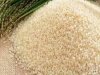 أسعار الأرز.. تراجع الأبيض واستقرار الشعير