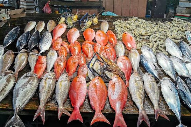 أسعار السمك ..62 جنيها لكيلو البلطى و170 جنيها للجمبري الصغير 