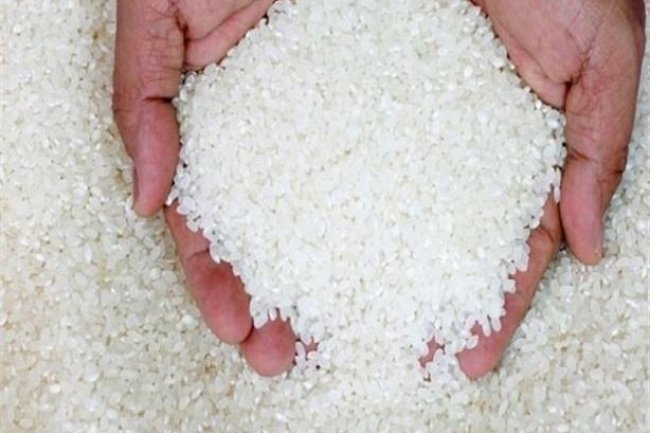 2300 جنيه تراجعا فى سعر طن الأرز الأبيض