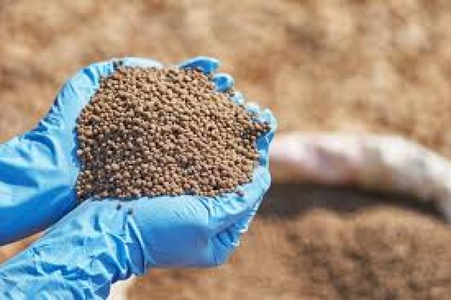 أسعار الأعلاف.. 17000 جنيه لطن كسب عباد و 48000 جنيه للجيلوتين المستورد