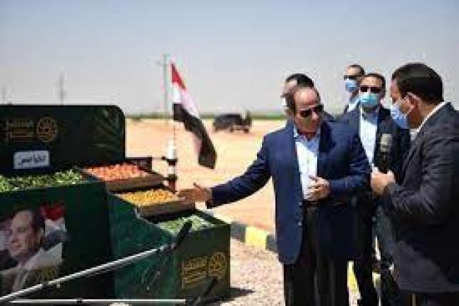 السيسي يوجه باستكمال مستهدفات مشروع «مستقبل مصر للإنتاج الزراعي»