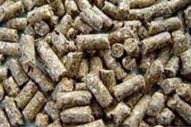 أسعار الأعلاف.. تراجع طن كسب العباد 36% بنحو  200 جنيه