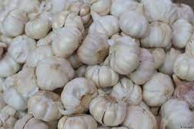 أسعار الخضروات .. 30 جنيها لكيلو الثوم و17 للبصل