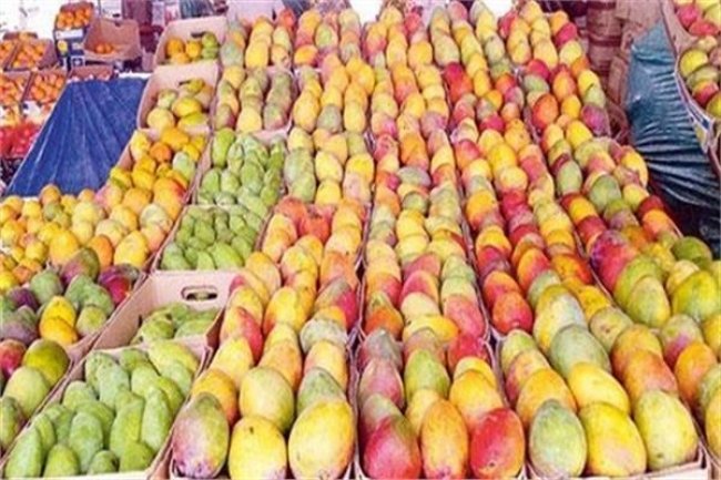 أسعار المانجو في سوق العبور اليوم