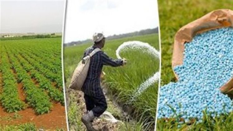 2500 جنيه لطن الفوسفات .. أسعار الأسمدة اليوم الثلاثاء