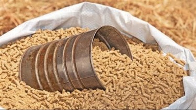 أسعار خامات الأعلاف اليوم 