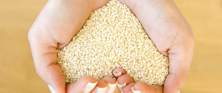 أسعار السمسم.. طن ديل الجمل يقفز لـ70 ألف جنيه