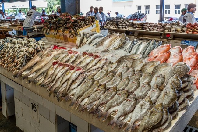 أسعار الأسماك .. 82 جنيها لكيلو البلطى المزارع 