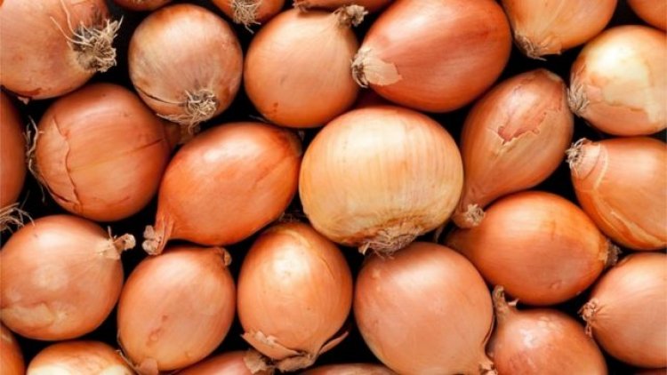 أسعار الخضروات.. استقرار الطماطم والبصل يواصل جنونه