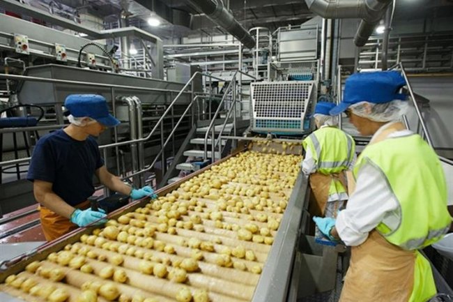 "نصديرى الصناعات الغذائية" يناقش الأخطاء الشائعة فى التسويق التى تقع فيها الشركات 