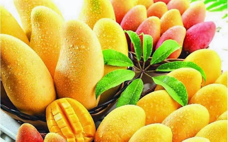 "سلامة الغذاء" : 20% نمواً في صادرات المانجو في الأسبوع الأخير من سبتمبر