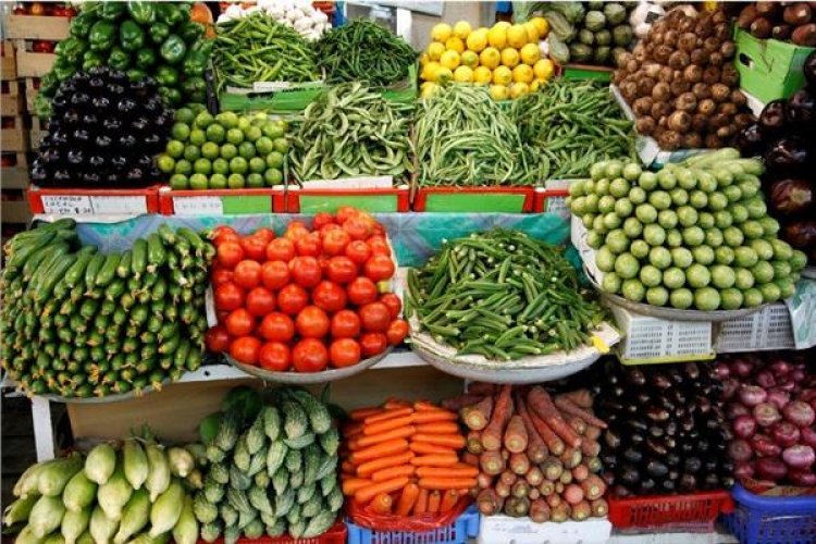 أسعار الخضروات .. 10 جنيهات لكيلو الكوسة و15 جنيها للفاصوليا 