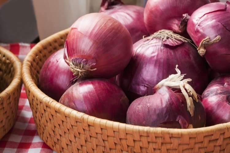  باستثمارات تقدر بنحو 3 مليارات جنيه..وزارة التموين  تطلق أول مركز للغذاء الأخضر