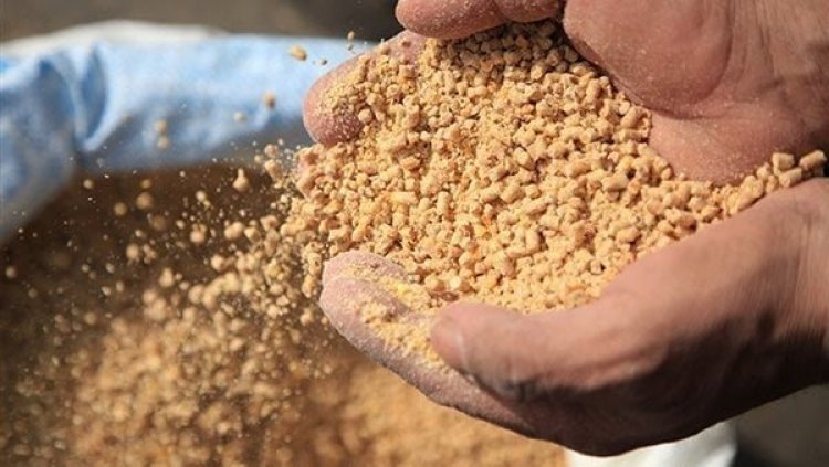 تعرف على أسعار خامات الاعلاف بأسواق الجملة اليوم 