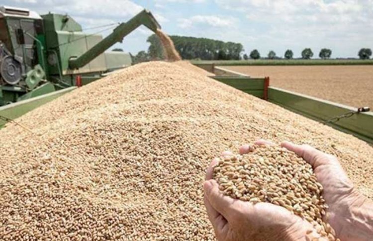 50% تراجعا فى صادرات أوكرانيا من الحبوب خلال أكتوبر الجارى