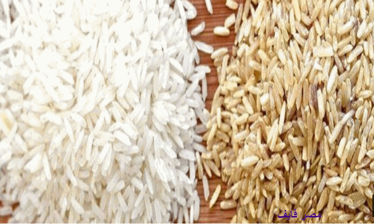500 جنيه تراجعا فى سعر طن الأرز الشعير