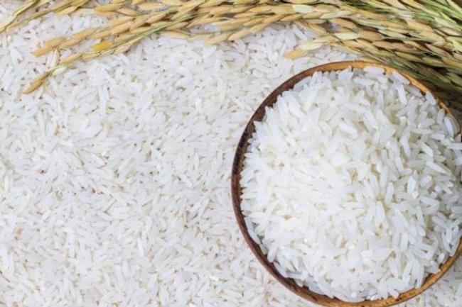 أسعار الأرز  .. 16.900 جنيه لطن الشعير «رفيع الحبة»