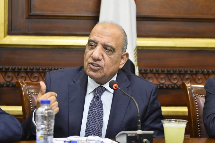 عصمت: تغييرات كبيرة في مجالس إدارات الشركات قطاع الأعمال للارتقاء بالأداء 
