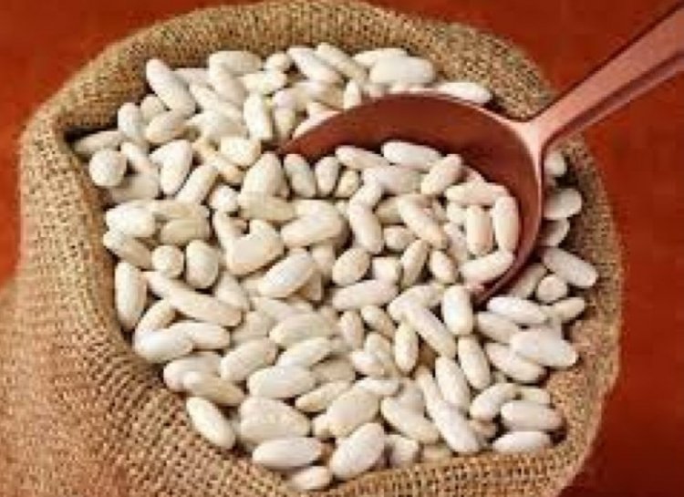 الأسعار الاسترشادية للحبوب والبقوليات اليوم الخميس 