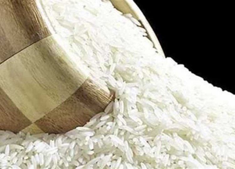 1200 جنيه تراجعا فى سعر طن الأزر الشعير بأسواق الجملة   